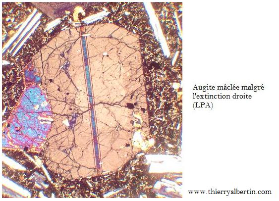 Augite mâclée