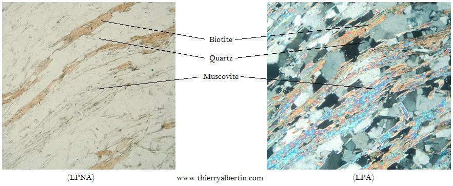 Biotite, muscovite, quartz