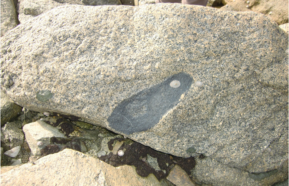 Diorite quartzique de Jardeheu avec enclave de cumulat