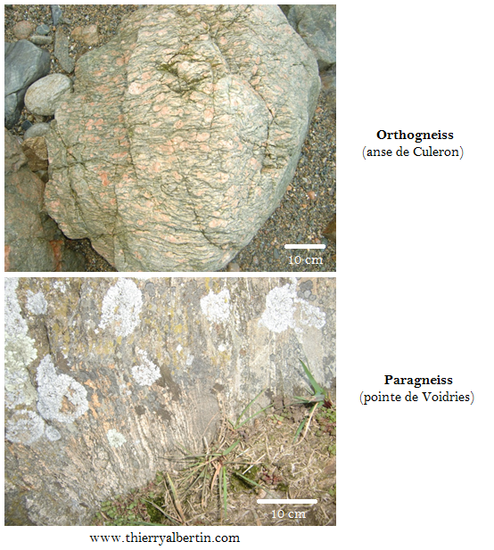 Paragneiss et orthogneiss d`âge cadomien dans le cotentin