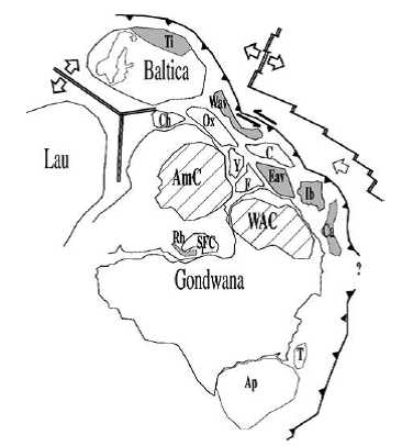 Reconstitution de la marge Nord du Gondwana lors de l`orogenèse cadomienne